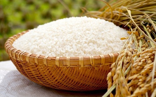 Giá gạo Ấn Độ, Thái Lan giảm mạnh, Việt Nam lập đỉnh mới