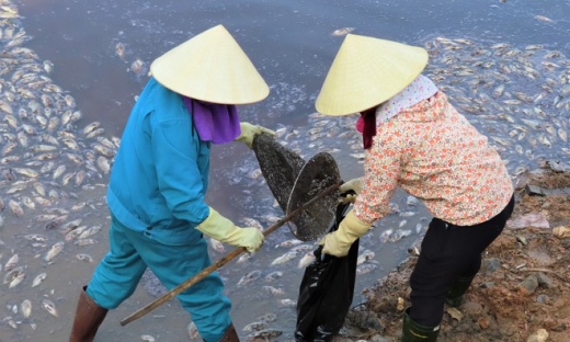 Quảng Bình: Cá hồ Trạm chết hàng loạt, phủ trắng ven bờ