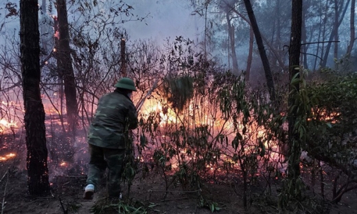 Nghệ An: Triệu tập nghi phạm đốt rác gây cháy rừng ở núi Con Voi