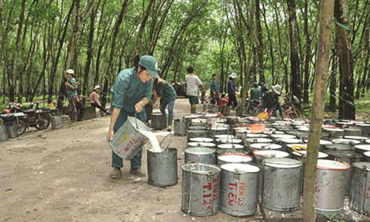 Chứng khoán 29/9: Nhóm săm lốp “dậy sóng” nhờ thông tin M&A từ Vinachem