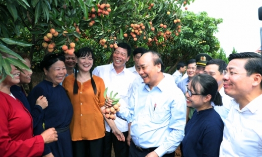 Thủ tướng chia sẻ niềm vui với bà con vùng trồng vải thiều Bắc Giang