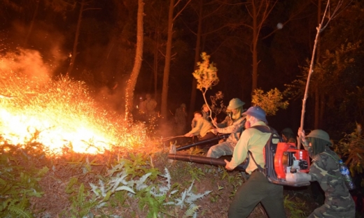 Đối tượng gây ra vụ cháy rừng lớn nhất Hà Tĩnh lĩnh án 7 năm tù