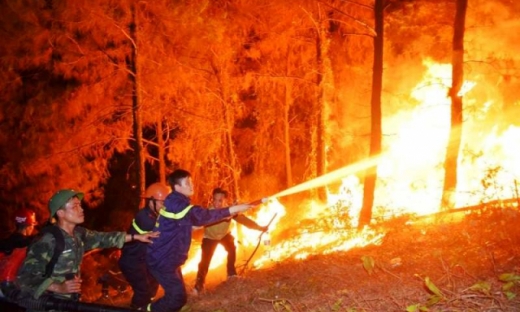 Đốt thực bì gây cháy rừng, một nông dân bị phạt 90 triệu đồng