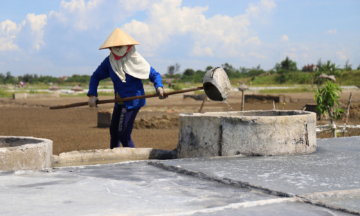 Nắng rát da, diêm dân Hà Tĩnh phơi mình trên ruộng muối