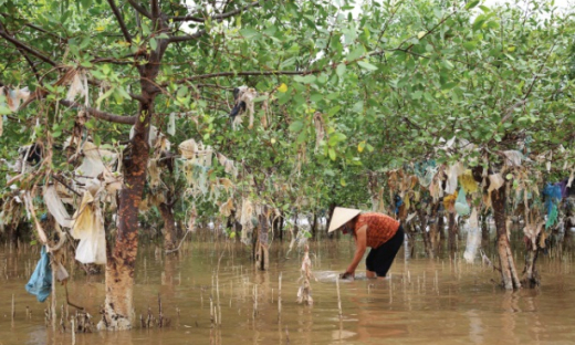 'Cuộc chiến chống rác thải nhựa đại dương'- Thông điệp về tình yêu biển cả quê hương