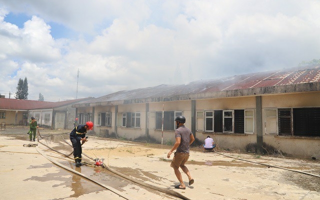 Lâm Đồng: Cháy lớn tại Trung tâm Nghiên cứu thực nghiệm Nông - Lâm nghiệp