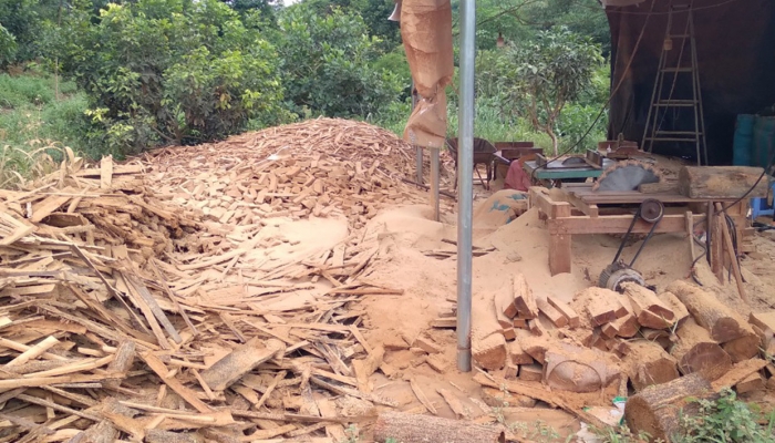 Vụ xưởng gỗ lậu ở biên giới Gia Lai: Xử phạt chủ cơ sở 35 triệu đồng