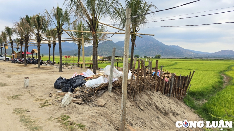 Quán cà phê “mọc” giữa ruộng: UBND huyện Chư Păh chỉ đạo kiểm tra, xử lý