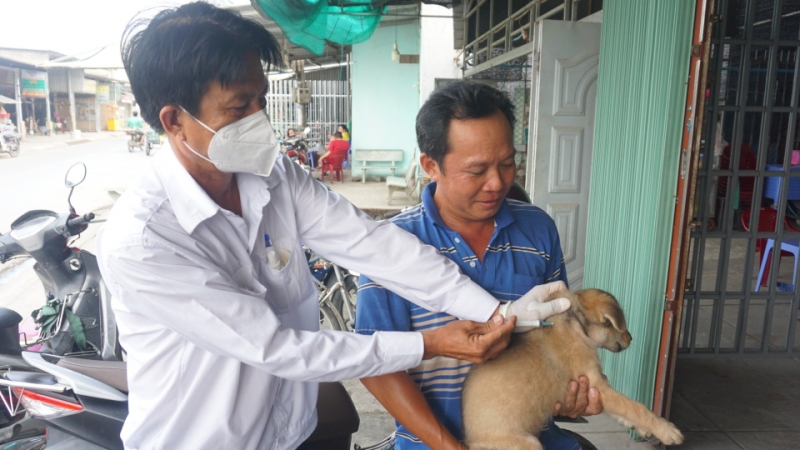 Người dân đã ý thức hơn trong việc tiêm vaccine phòng dại cho chó, mèo