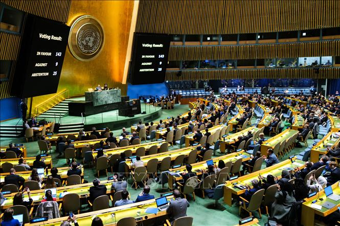 Đại hội đồng Liên hợp quốc thông qua nghị quyết đề nghị kết nạp Palestine
