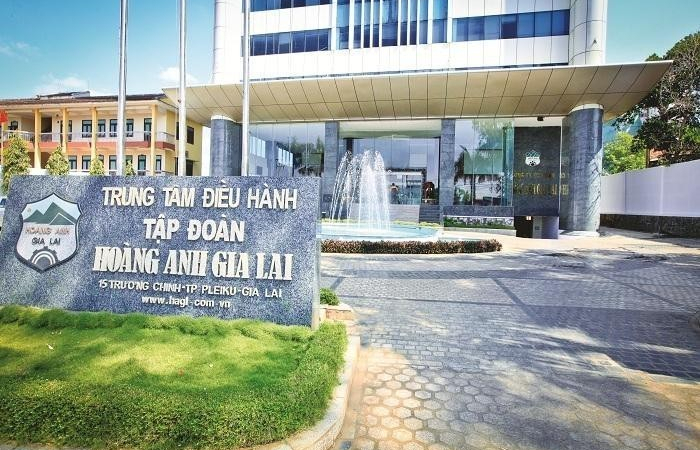 Cổ phiếu vẫn bị giữ nguyên diện cảnh báo, liệu Hoàng Anh Gia Lai có biện pháp gì để khắc phục?