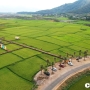 Gia Lai: Quán cà phê 'mọc' giữa ruộng lúa, chính quyền nói chưa sai?