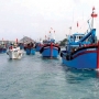 Việt Nam sẽ giảm dần sản lượng thủy sản khai thác, 'rút' số tàu cá tối đa xuống khoảng 83.600 chiếc