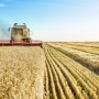 EU tăng thuế đối với ngũ cốc Nga và Belarus