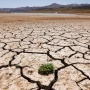 Liên hợp quốc cảnh báo về 'địa ngục khí hậu' khi thế giới tiếp tục đạt kỷ lục nhiệt độ